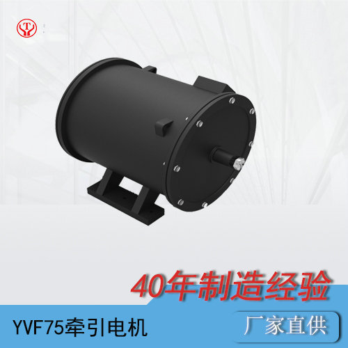 YVF75KW礦用交流變頻電機(jī)(75KW變頻電機(jī))